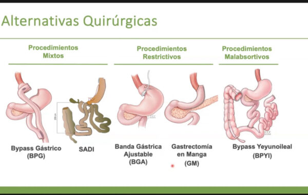 Salud y ejercicio en Adultos con Patologías Cardiometabolicas V4.0 - Imagen 2
